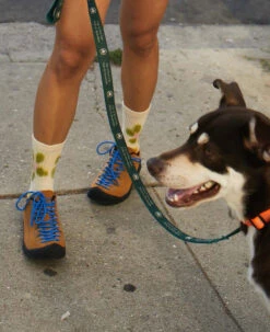 Keen Jasper Für Herren | Cathay Spice/Orion Blue -Keen Geschäft KEEN PDP LifeGrid Sngl Jasper Right d8d4bd42 2e61 43ec b06d f189308e3eeb